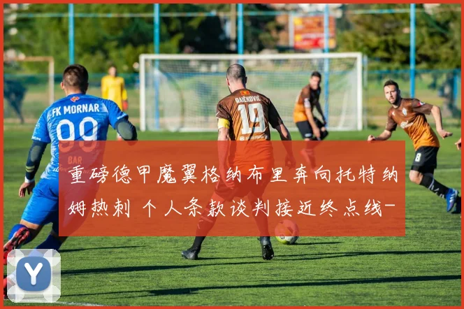 重磅德甲魔翼格纳布里奔向托特纳姆热刺 个人条款谈判接近终点线