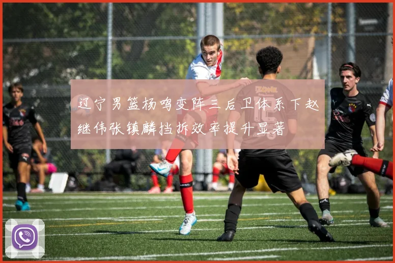 辽宁男篮杨鸣变阵三后卫体系下赵继伟张镇麟挡拆效率提升显著