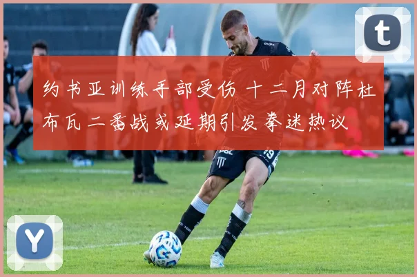 约书亚训练手部受伤 十二月对阵杜布瓦二番战或延期引发拳迷热议