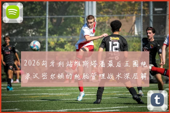 2026匈牙利站维斯塔潘最后五圈绝杀汉密尔顿的轮胎管理战术深层解码