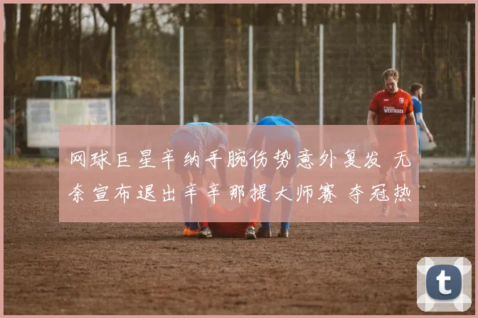网球巨星辛纳手腕伤势意外复发 无奈宣布退出辛辛那提大师赛 夺冠热门空缺