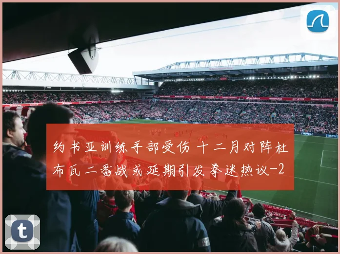 约书亚训练手部受伤 十二月对阵杜布瓦二番战或延期引发拳迷热议
