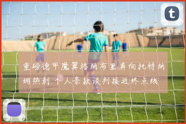 重磅德甲魔翼格纳布里奔向托特纳姆热刺 个人条款谈判接近终点线