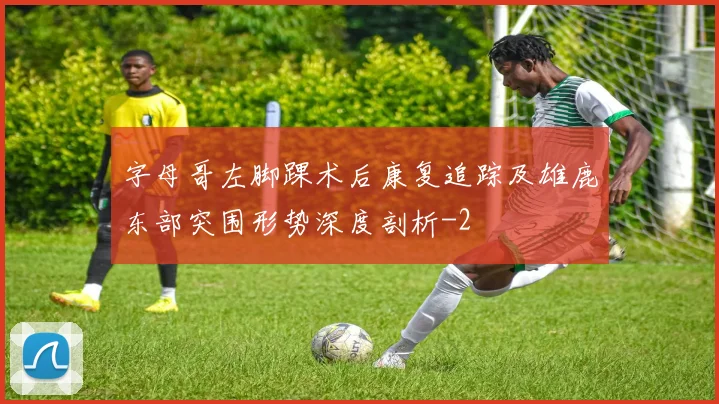 字母哥左脚踝术后康复追踪及雄鹿东部突围形势深度剖析