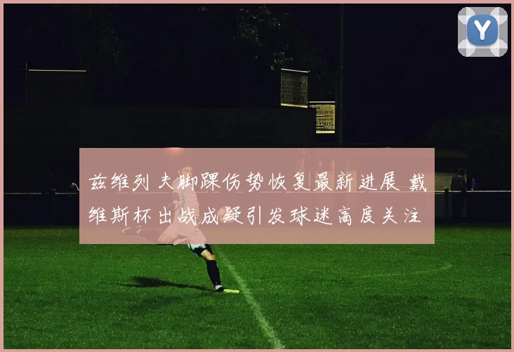 兹维列夫脚踝伤势恢复最新进展 戴维斯杯出战成疑引发球迷高度关注