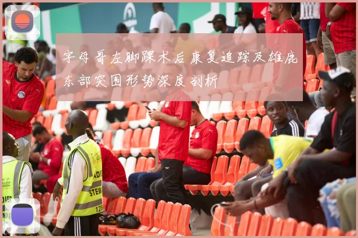 字母哥左脚踝术后康复追踪及雄鹿东部突围形势深度剖析