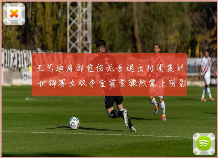 王艺迪肩部重伤无奈退出封闭集训 世锦赛女双夺金前景骤然蒙上阴影